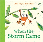 Buy When The Storm Came