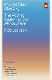 Buy Into the Clear Blue Sky