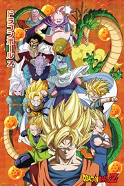 Buy Dragon Ball Z - Characters - Reg Poster