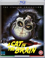 Buy A Cat In The Brain