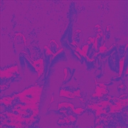 Buy Acid Guru Pond