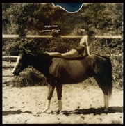 Buy The Summer Of Sepia