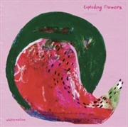 Buy Watermelon - Peacock