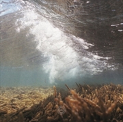 Buy Pulchra Es Elementis