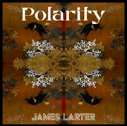 Buy Polarity