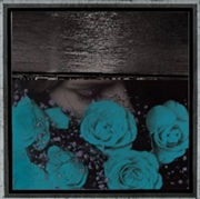 Buy At The Down Turned Jagged Rim