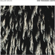 Buy One Thousand Lights