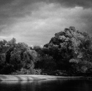 Buy I Will Be Forgotten