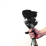 Buy They Don't Let Me In