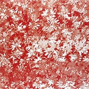 Buy Subversive Ii Splendor Of The Wicked