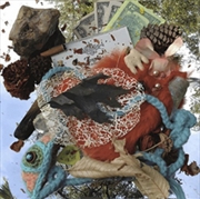 Buy Interludes Of Insanity