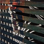 Buy Where Does The Time Come From