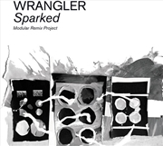 Buy Modular Remix Project