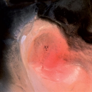 Buy Larsen Puff O'Gigio