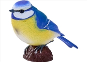 Buy Mojo - Blue Tit 2025