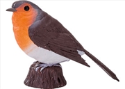 Buy Mojo - Robin 2025