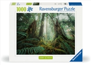 Buy In The Forest Puzzle 1000 Piece