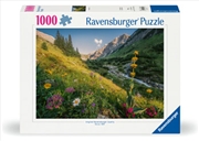 Buy Magical Valley Puzzle 1000 Piece 
