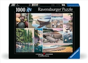 Buy West Coast Tranquility Puzzle 1000 Piece
