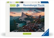 Buy Wild Nature Puzzle 1000 Piece