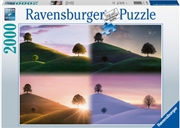 Buy On The 5th Day Puzzle 2000 Piece