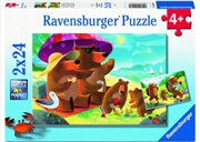 Buy Camping / Travel WT 2x24p