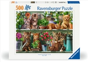 Buy Cats On The She Puzzle 500 Piece