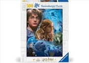Buy Harry Potter In Hogwarts Puzzle 500 Piece