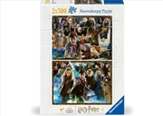 Buy The World Of Harry Potter Puzzle 2x500 Piece
