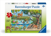 Buy Animals Above And Below 60 Piece