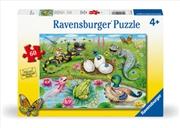 Buy Hello Hatchlings 60 Piece