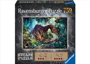 Buy Escape 17 Dragon 759 Piece Puzzle