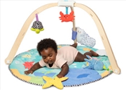 Buy Ocean Oasis Easy Fold Play Gym