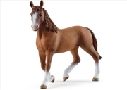 Buy Schleich - Cheval de Selle Francais mare