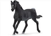 Buy Schleich - Arab Stallion