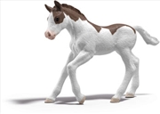 Buy Schleich - Collectible Foal Dipper
