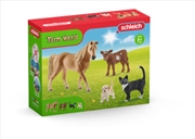 Buy Schleich - Farm & Pet Starter Set