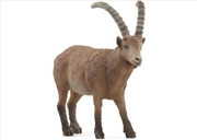 Buy Schleich - Ibex
