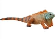 Buy Schleich - Iguana