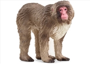 Buy Schleich - Japanese Macaque