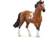Buy Schleich - Mangalarga Marchador Stallion