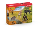 Buy Schleich - Wild Life Safari Starter Set