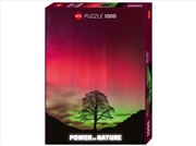 Buy Power Of Nature Sycamore 1000 Piece Puzzle
