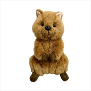 Buy DIMPLES The Quokka 15cm