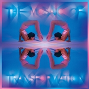 Buy The Mosaic Of Transformation