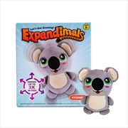 Buy Koala Expandimal Plush
