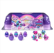 Buy Hatchimals Alive Neon Rainbow Carton