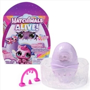 Buy Hatchimals Alive Rainbow Colour Surprise