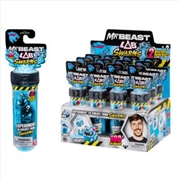 Buy Mr Beast Lab Swarms Test Tube 2 Pack assorted (SENT AT RANDOM)