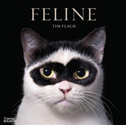 Buy Feline